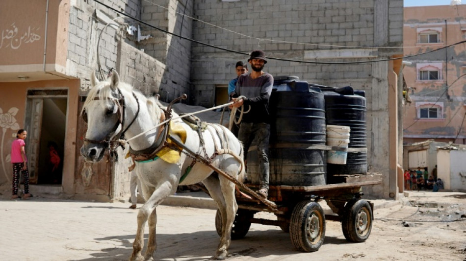 Cientos de miles de palestinos huyen de Rafah ante la amenaza de una ofensiva israel&iacute;