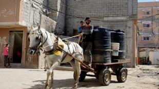 Medio mill&oacute;n de palestinos huyen de Rafah ante la amenaza de una ofensiva israel&iacute;