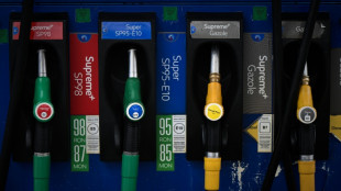 Contr&ocirc;le du prix des carburants: les distributeurs demandent le "retrait" du projet du gouvernement