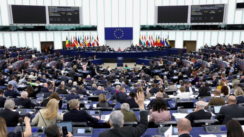 El Parlamento Europeo aprob&oacute; la ley de combate a la violencia contra las mujeres