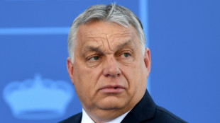 La nueva alianza de derecha de Orban re&uacute;ne el apoyo necesario para constituirse como grupo en la Euroc&aacute;mara