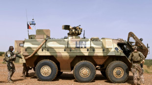 Bundeswehrverband fordert sofortigen Abzug aus Mali wegen UN-Abstimmung