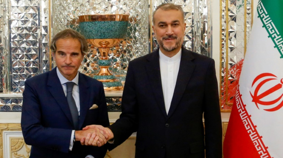 El director del OIEA viaja a Ir&aacute;n en un contexto de temor sobre el programa nuclear iran&iacute;