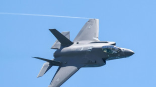 Un tribunal ordena a Pa&iacute;ses Bajos que suspenda el suministro de piezas de F-35 a Israel
