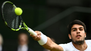 Djokovic looms large as Alcaraz bids to reach Wimbledon final