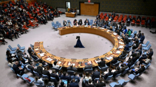 EEUU veta en el Consejo de Seguridad petici&oacute;n palestina de adhesi&oacute;n a la ONU