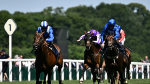 Jockey Crowley hopes for glorious end to 'enjoyable journey' with Baaeed