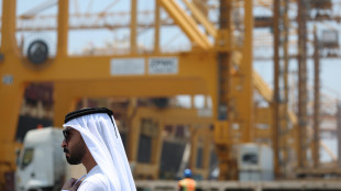 Emirati, 'sospesi scambi commerciali e transazioni finanziarie con l'Iran'