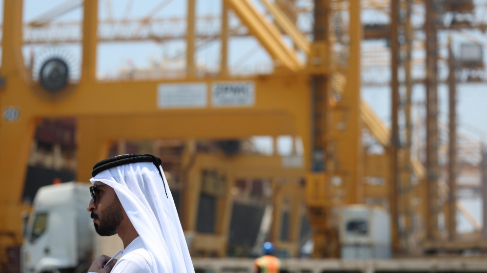 Emirati, 'sospesi scambi commerciali e transazioni finanziarie con l'Iran'