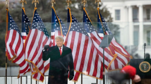 La desinformación plaga las elecciones con tácticas propias de Trump