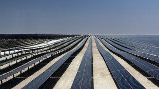 Catar inaugura su primera planta de energía solar