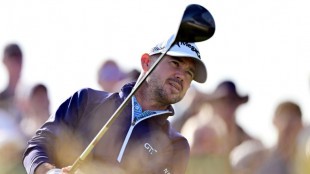 Harman surges into British Open lead, McIlroy makes move