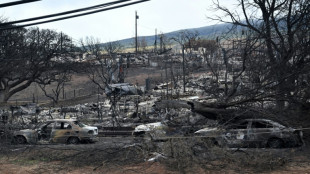 Las autoridades cifran en al menos 1.100 los desaparecidos por los incendios en Haw&aacute;i