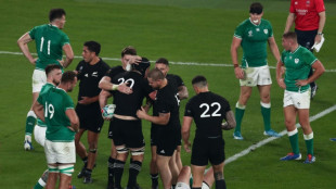 Irish unburdened by poor World Cup record, says mental guru