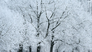 Schnee und Eisregen: Winterwetter sorgt f&uuml;r Flugausf&auml;lle und Verkehrsunf&auml;lle