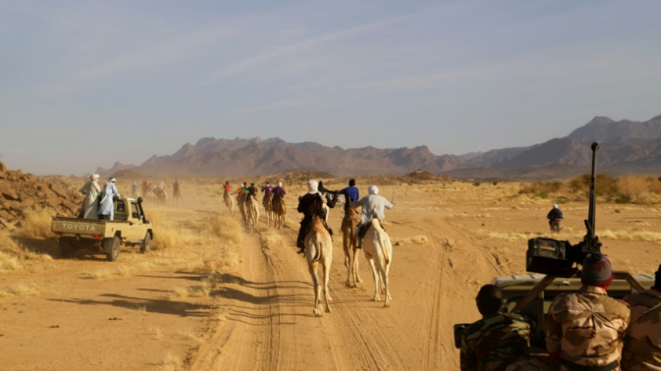 Bericht: Bundesregierung genehmigt Waffenausfuhren nach Niger und Indien