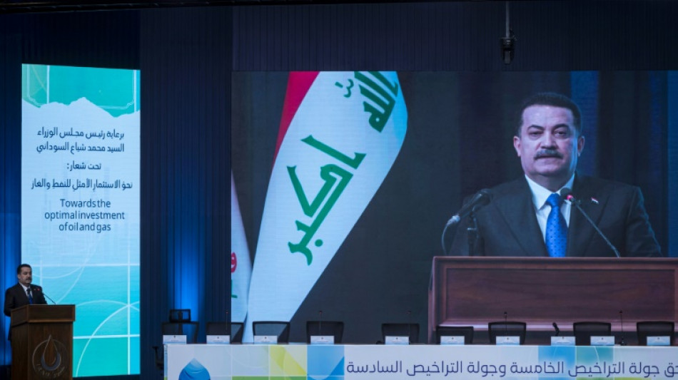 El Consejo de Seguridad decide retirar la misi&oacute;n de la ONU de Irak a fines de 2025
