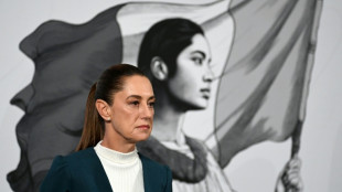 Mexico's Sheinbaum to boost reporting of sexual abuse after being groped