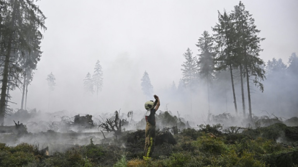 Stadt Monschau hebt Evakuierung wegen Waldbrands in Belgien auf