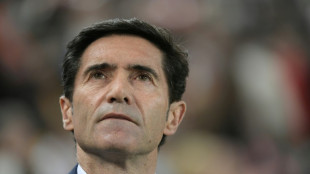 Marcelino named as new coach at Marseille