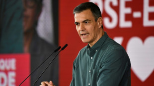 Pedro S&aacute;nchez, una carrera pol&iacute;tica dominada por los golpes de efecto y los giros inesperados