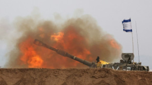 Pilonnage isra&eacute;lien &agrave; Gaza et roquettes sur Isra&euml;l avant un possible vote &agrave; l'ONU