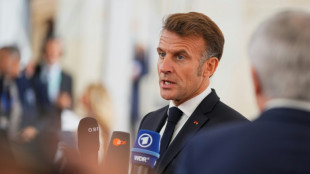 Macron warnt vor "russischer Geheimarmee in unseren Demokratien"