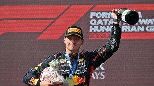 Verstappen and Red Bull in another league to rivals: Wolff 
