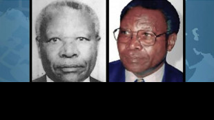 El "financiero" del genocidio de Ruanda ir&aacute; a juicio en La Haya en septiembre