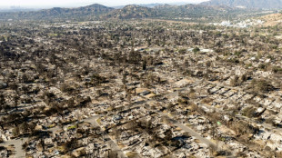 Le fournisseur d'électricité soupçonné d'être responsable d'un des incendies de Los Angeles propose d'indemniser les victimes