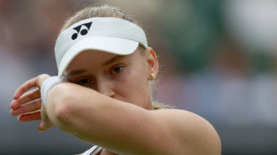Defending champion Rybakina survives Wimbledon scare 