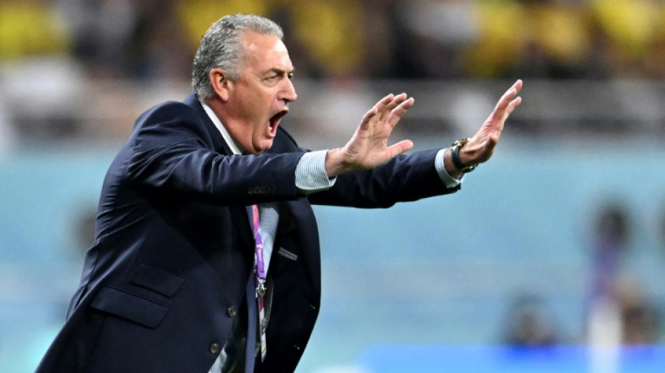 Ecuador performances show football's global 'evolution', says coach Alfaro