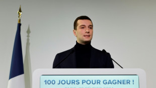 Europ&eacute;ennes de juin : l'extr&ecirc;me droite fran&ccedil;aise, en t&ecirc;te des sondages, lance sa campagne