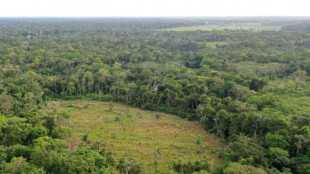 La selva amaz&oacute;nica, "reh&eacute;n" de guerrilleros para negociar en Colombia