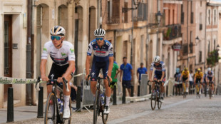 Spain's Herrada snatches Vuelta stage 11 victory