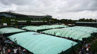 Djokovic resumes Wimbledon title bid as rain, protest cause disruption