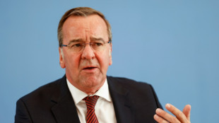 Alemania quiere elaborar un censo de eventuales reclutas, seg&uacute;n fuentes parlamentarias