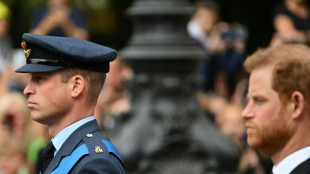 Entre William et Harry, une r&eacute;conciliation toujours hors d'atteinte