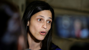 Los franceses de Am&eacute;rica Latina reeligen a la diputada oficialista Caroit