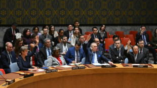 Amplia aprobaci&oacute;n internacional de la resoluci&oacute;n de la ONU