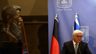Steinmeier will mit Netanjahu &uuml;ber umstrittene Justizreform sprechen