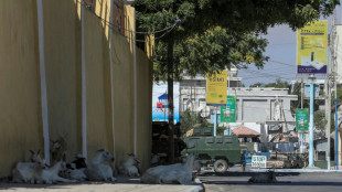 Somalie: 3 morts et 27 bless&eacute;s dans l'attaque d'un h&ocirc;tel par les shebab &agrave; Mogadiscio