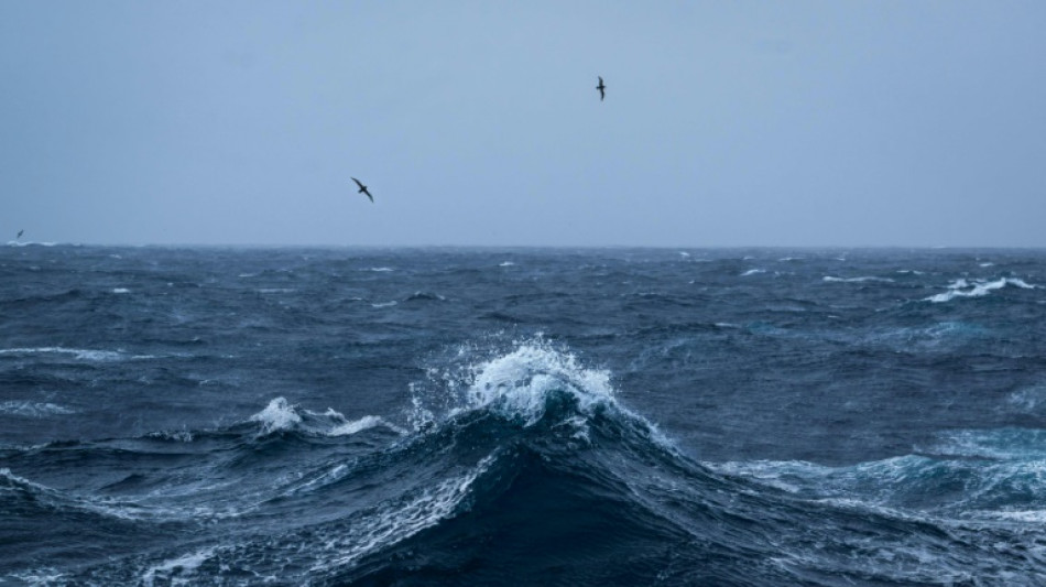New treaty plots conservation course for high seas
