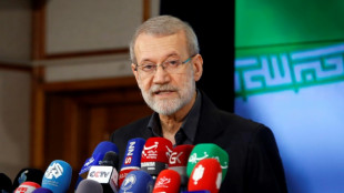 El moderado Ali&nbsp;Larijani se postula como candidato a las presidenciales en Ir&aacute;n