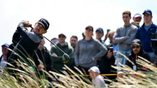 Rahm leads the chase of Harman at British Open
