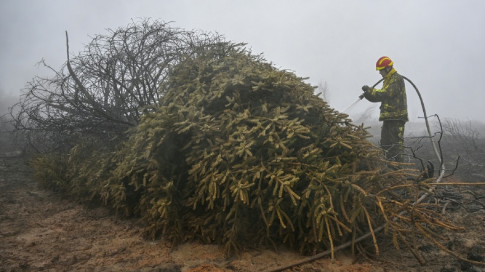 Belgique: l'incendie est "encercl&eacute;" mais toujours des reprises de feu