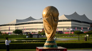 Fans, trophy and teams arrive in Qatar for World Cup countdown