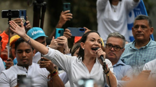 Un diplom&aacute;tico contra Maduro: oposici&oacute;n venezolana anuncia reemplazo de Machado en presidenciales