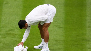 Djokovic helps dry damp Wimbledon court with towel 