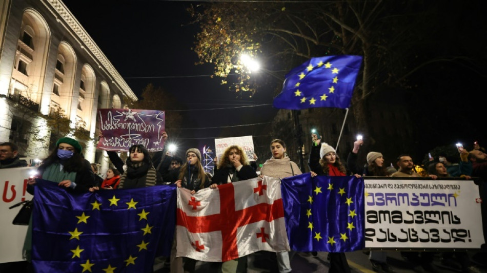 14. Tag in Folge: Tausende Menschen in Georgien bei pro-europ&auml;ischem Protest